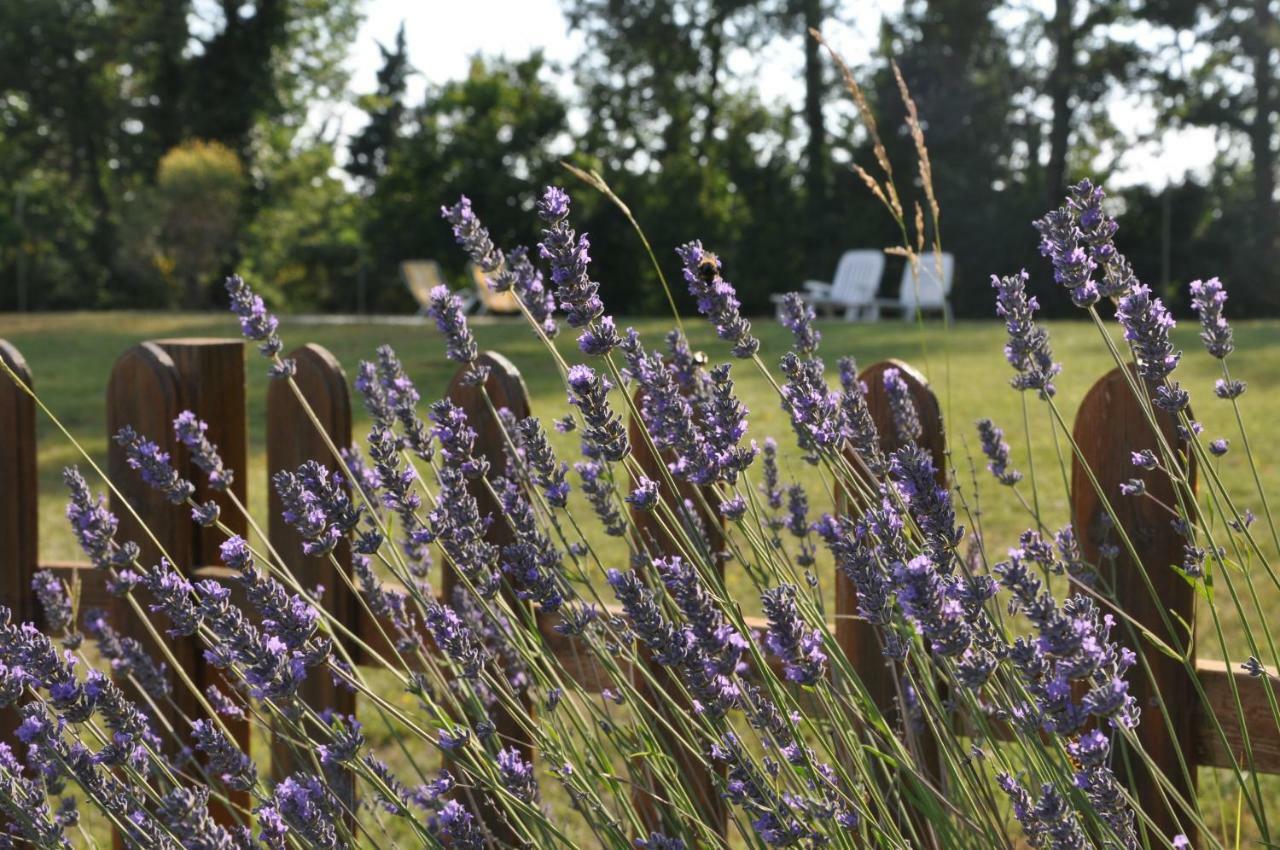 Agriturismo Testalepre Greve in Chianti Exterior photo